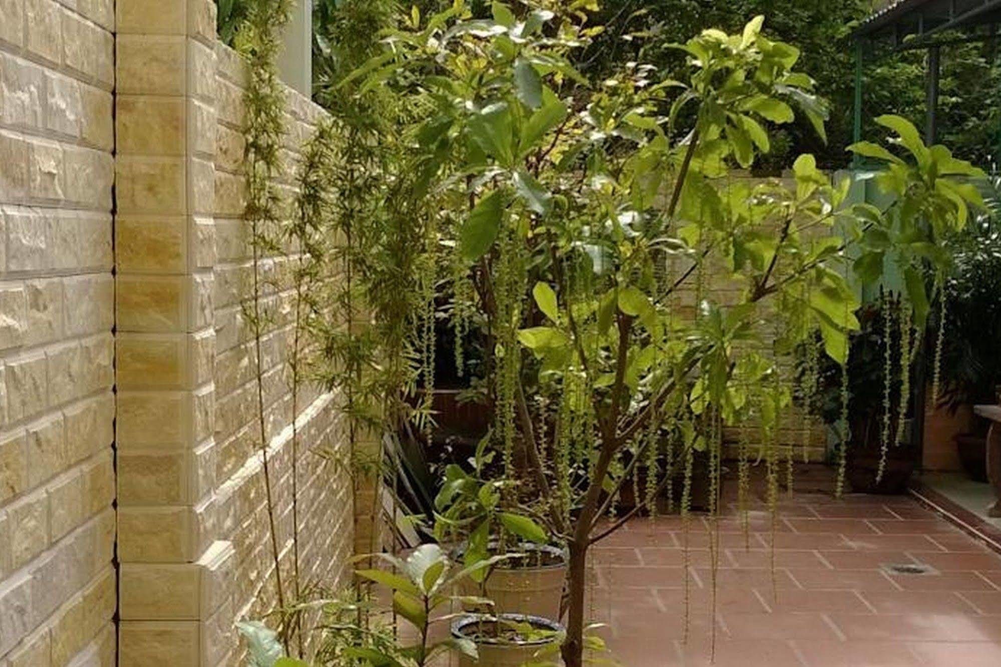 Hi Hop Yen Homestay Hoi An Bagian luar foto